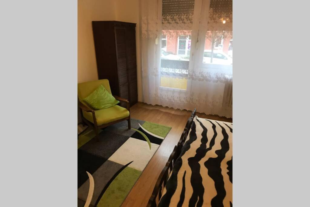 Zen Apartman Szolnok Exteriér fotografie