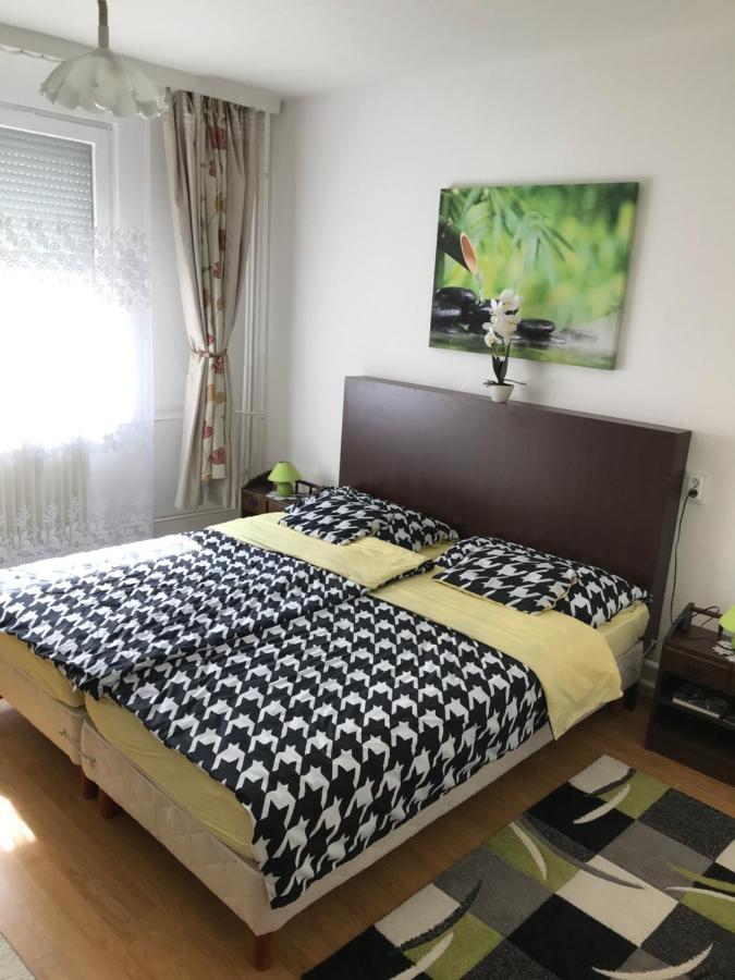 Zen Apartman Szolnok Exteriér fotografie